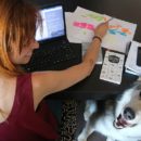 petlook